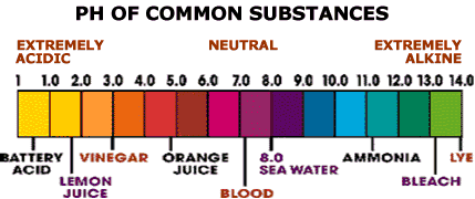 Blood Ph Chart